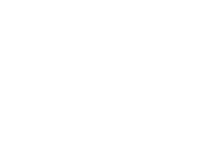 Solveri Solutions